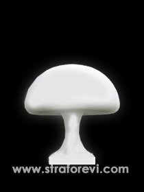 Mantar Strafor Maketi